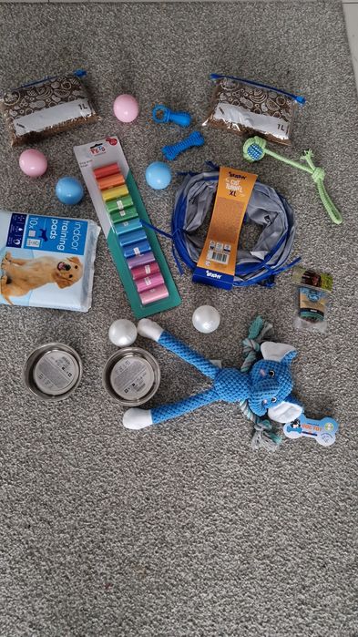 Maltipoo f1 xxs  mini SUNIA