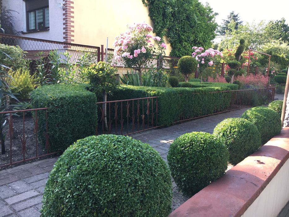 Pielęgnacja ogrodu, usługi ogrodnicze- atrakcyjne ceny!!!