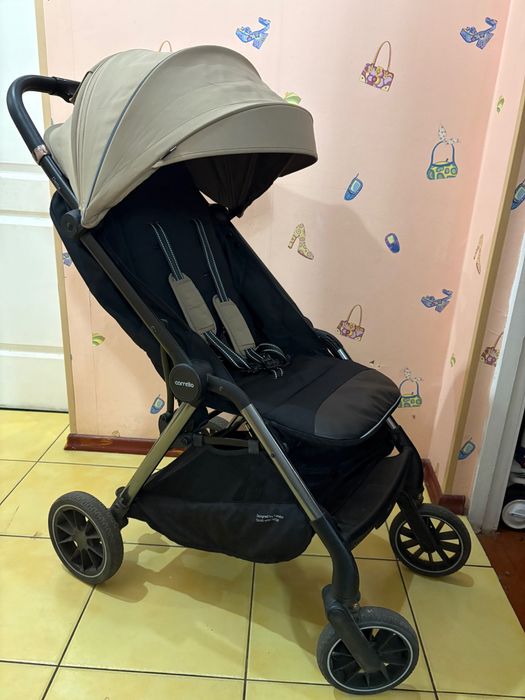 Прогулочная коляска Carrello Delta