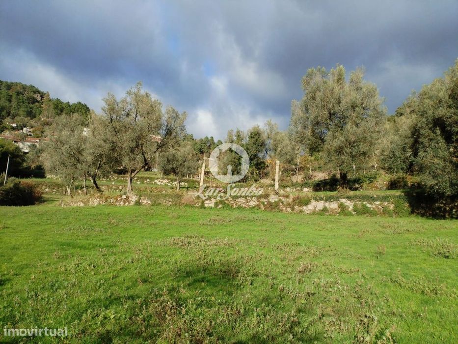 Terreno rústico, para venda, Terras de Bouro - Vilar da Veiga