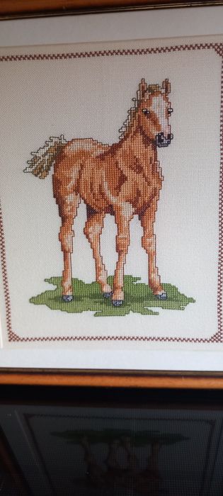 Quadro ponto cruz Potro