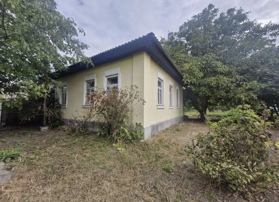 Будинок в селі Красилівка