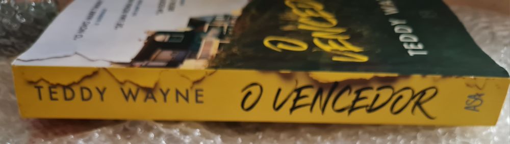 O Vencedor de Teddy Wayne