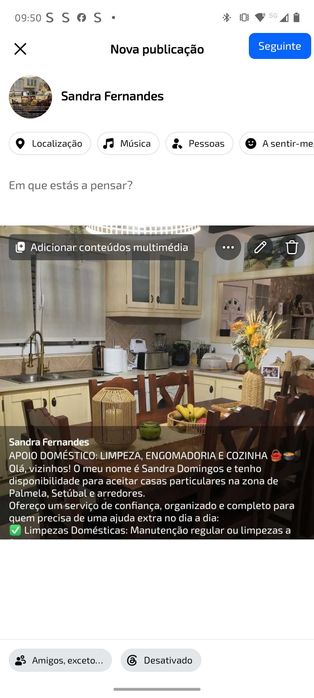 Apoio doméstico, limpeza, engomadoria,e cozinha.Setubal , Palmela