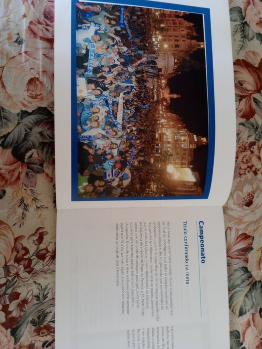 Porto campeao 2006 2007