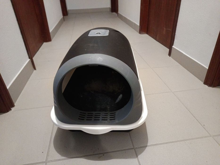 WC gatos com um defeito