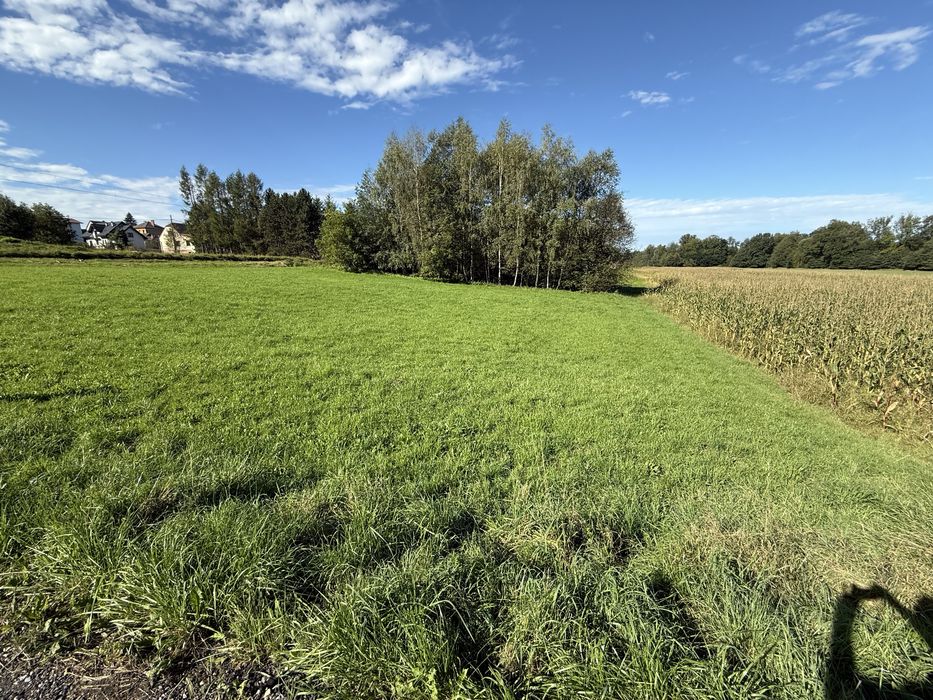 Działka usługowo-budowlana 20,65 ara | Bulowice | własny lasek | droga asfaltowa | doskonała lokalizacja - Widok 4