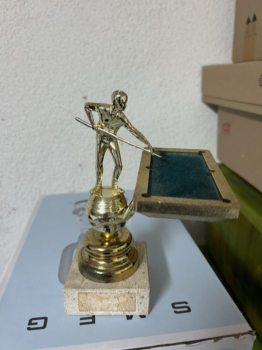Snooker Trophy Cup