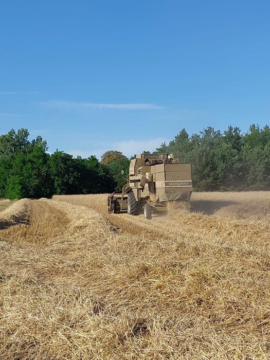 Sprzedam Fortschritt E 514