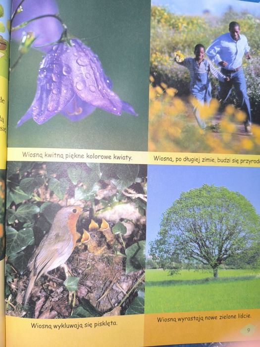 Kubuś Puchatek -moja pierwsza encyklopedia