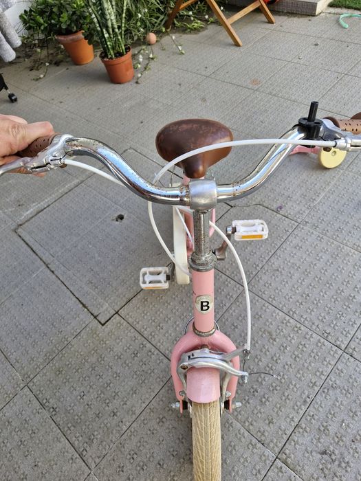 Bicicleta infantil Bobbin Gingersnap