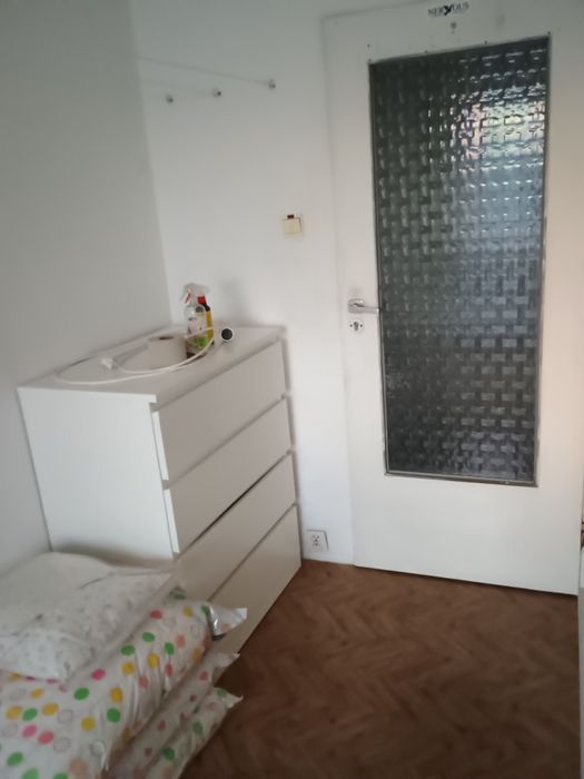 Pokoik do wynajęcia. Aleksandrów Łódzki