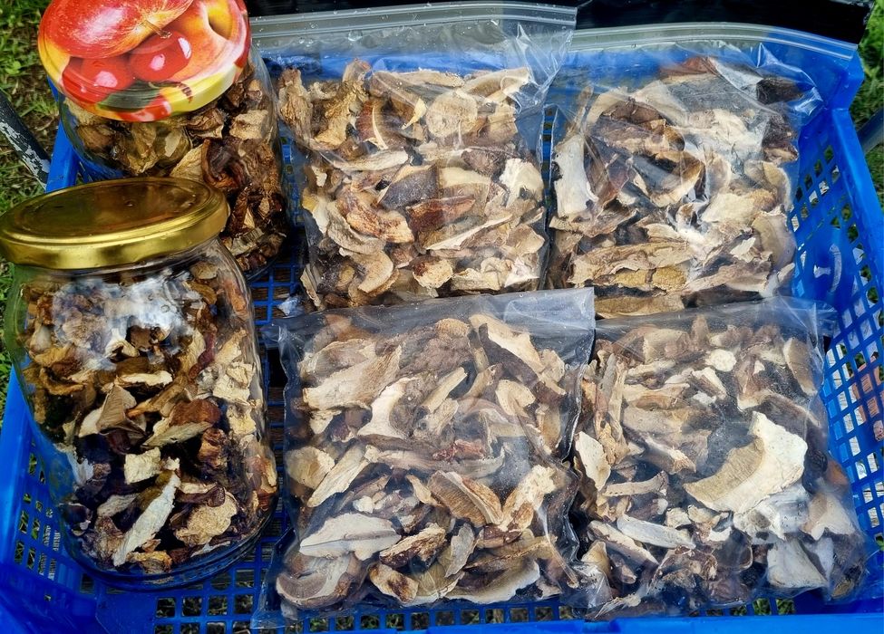 Suszone grzyby - borowiki/prawdziwki