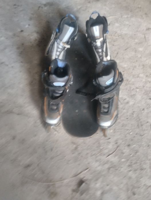 Patis usados para venda