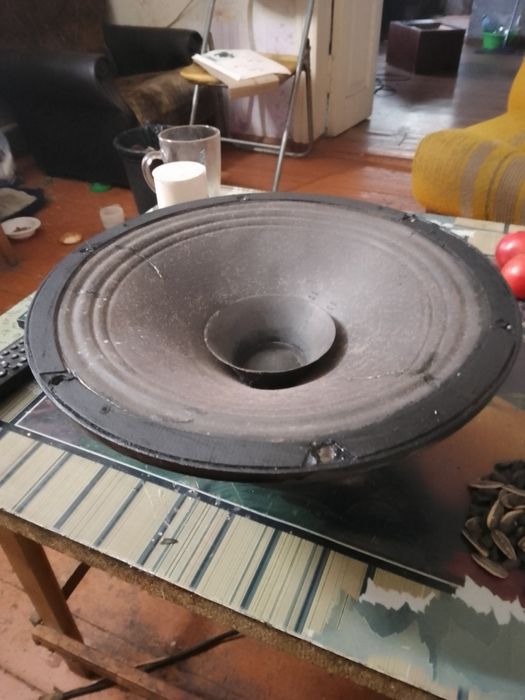 Динамік 30ГД 301 Совєтській іще