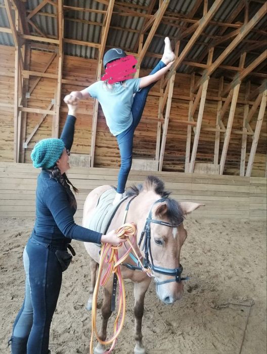 Super kucyk do hipoterapii