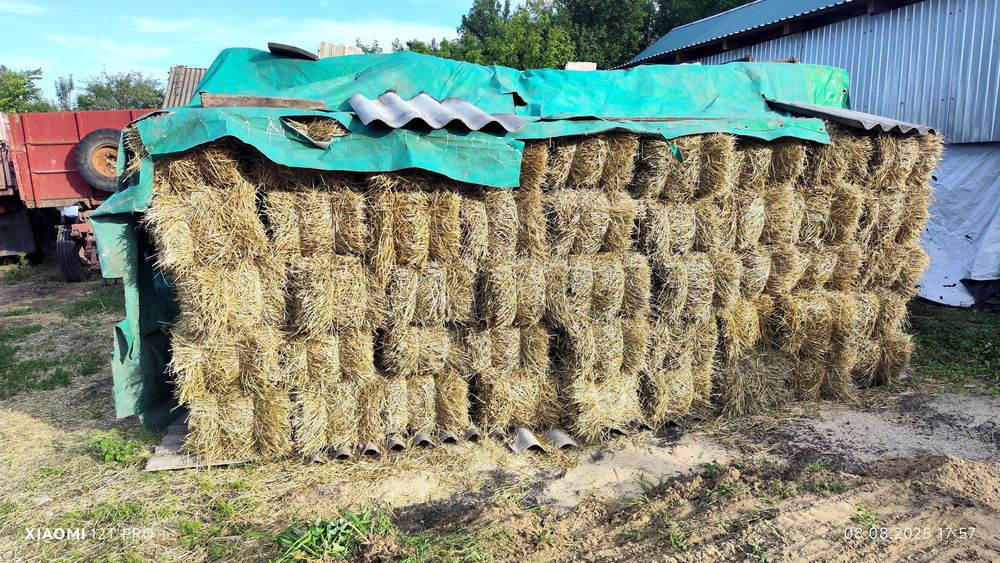 Продам солому в тюках