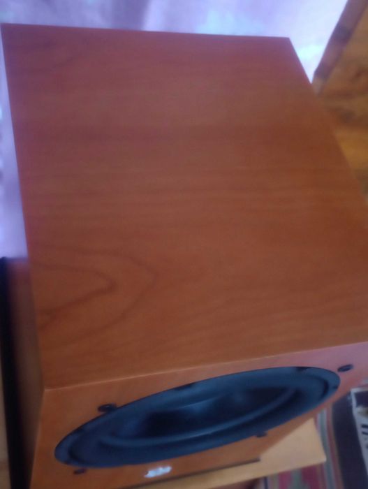 Сабвуфер DLS Sub 3.10 (TW2504EB) якісний потужний, home audio