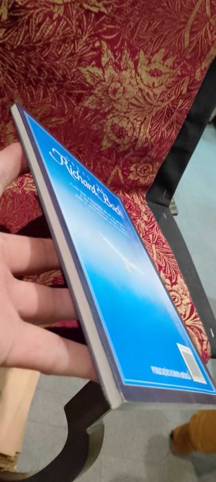 Richard Bach - Fernão Capelo Gaivota