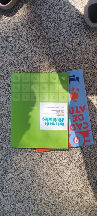 Cadernos de Atividades Físico-Química 9º Ano