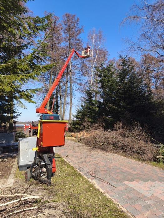 Wycinka drzew Ostrołęka I Wycinka z podnośnika i alpinistycznie,