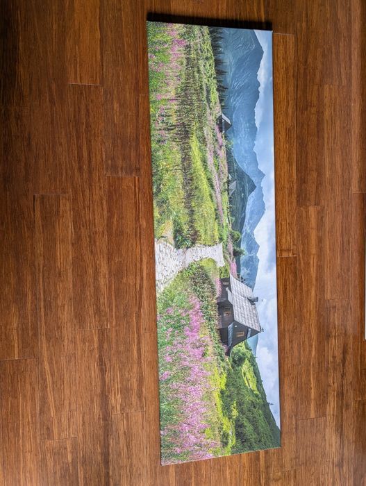 Obraz na płótnie 170 x 50