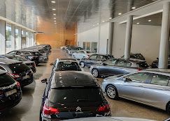 business-site-gallery-photo
