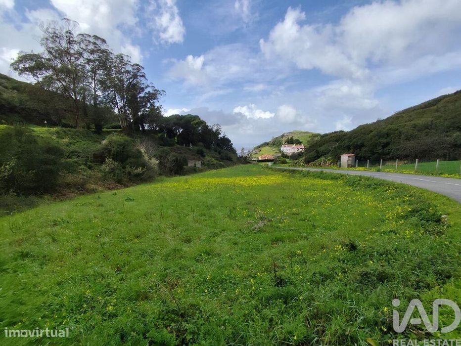 Terreno em Cadaval e Pêro Moniz de 2600,00 m2