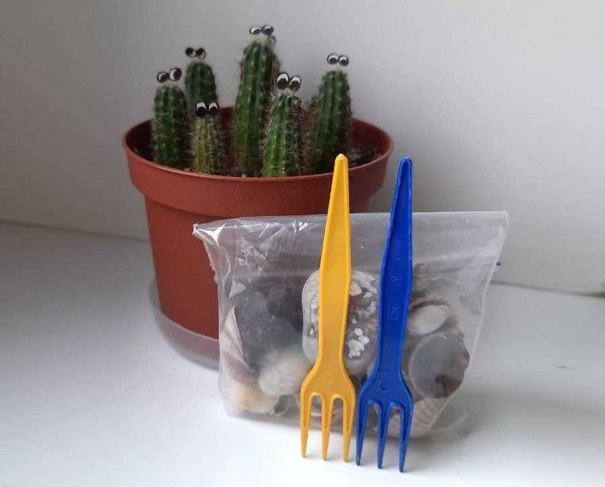 Кактусенята Ехінопсіс 3-4 см до комп'ютера, телевізора + декор