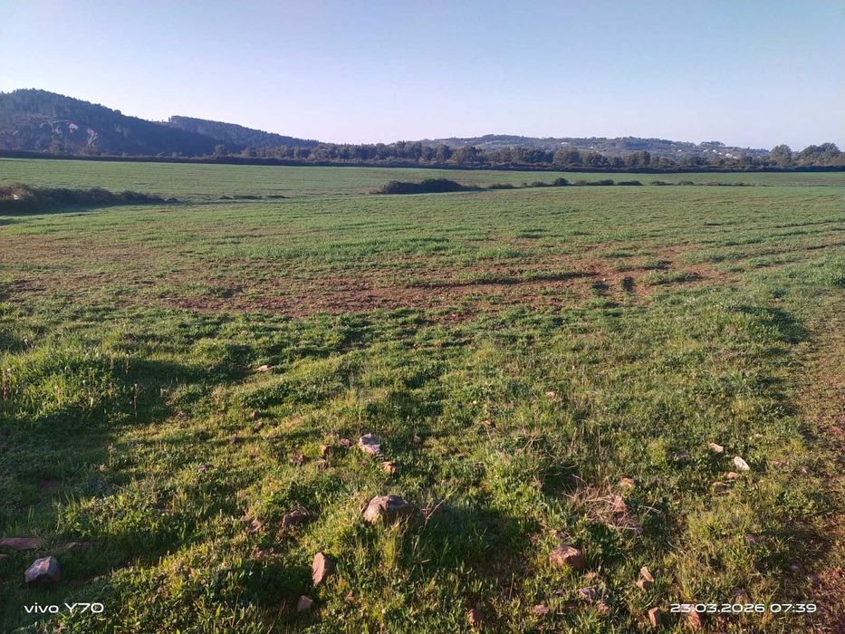 Magnífico monte/herdade, 25 hectares de pura natureza, ideal para quem procura tranquilidade/investimento