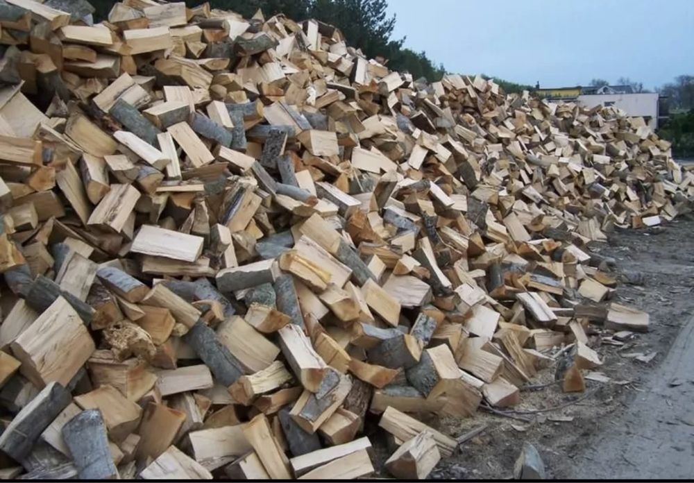 Drewno kominkowe opał drzewny drzewo dąb buk brzoza sosna olcha grab