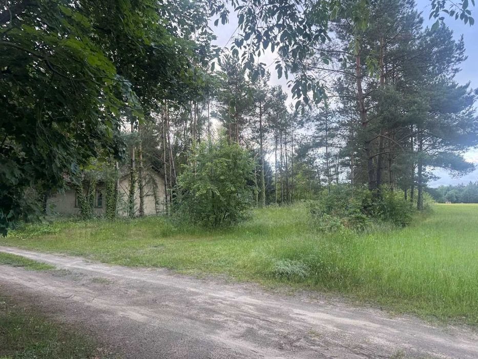 Ławiczno Dwór i Las - Debówiec działka budowlana - View 3