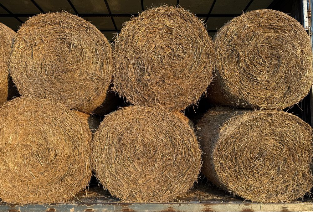 Słoma Siano Dobrej Jakosci z Transportem