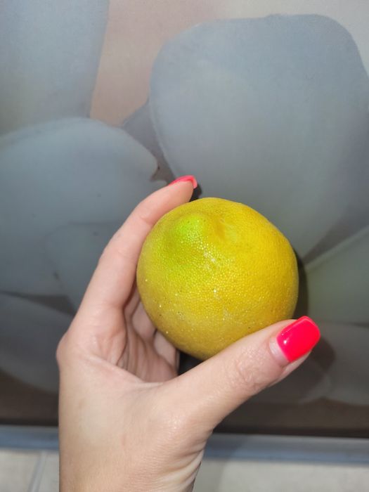 Лимон іграшковий пласмасовий