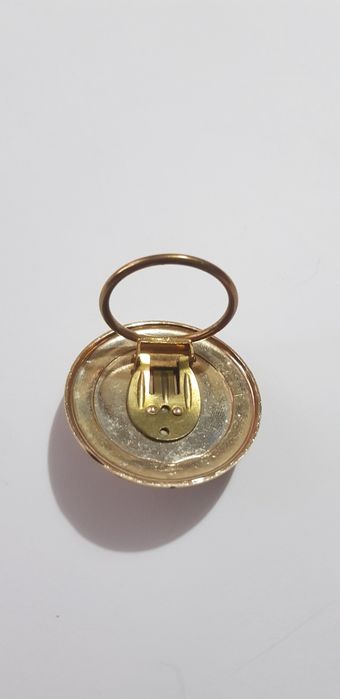 Broszka klips złocista.