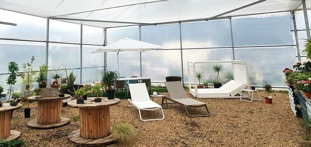 Viveiro de plantas - Garden center