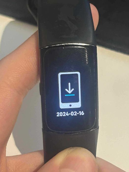 Smartwatch Fitbit Charge 6