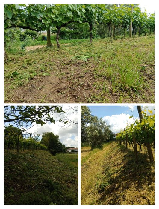 Serviço de limpeza de terrenos (ler descrição)