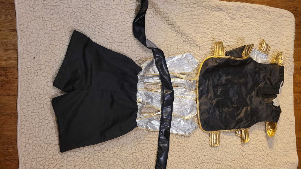 Stroje karnawałowe przebrania dla dzieci - głównie rycerskie