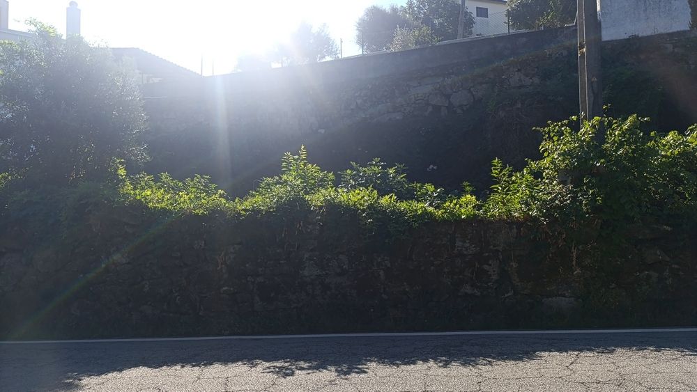 Casa em pedra as portas de oliveira de frades