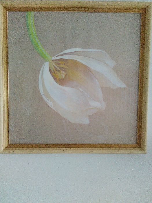 2 quadros grandes com flores, molduras em bege/dourado. Como novos