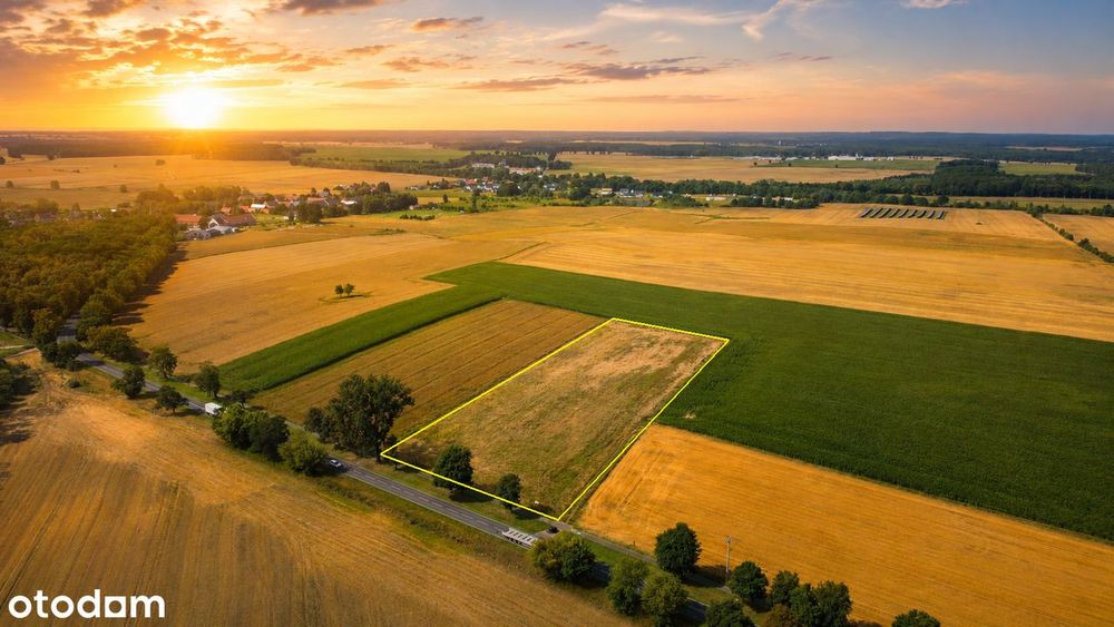 Działka inwestycyjna 8100 m² | WZ do 24 domów | Chociule - Więcej