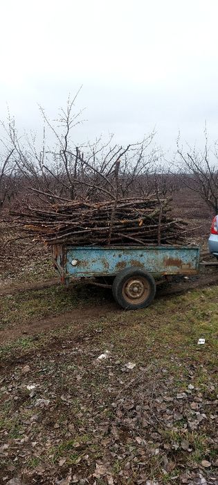 Дрова. Дрова фруктовые, шашлычные.Тополь, акація, абрикос