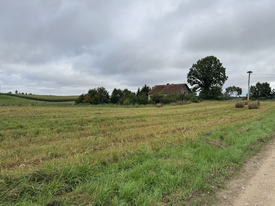 Działka 5130 m² z WZ – Kłębowo, 6 km od Lidzbarka