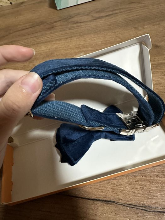 Нашийник і бабочка для собак