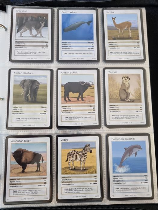 Life TCG cartas 26 a 100 não holo (todas as incomuns e conuns)