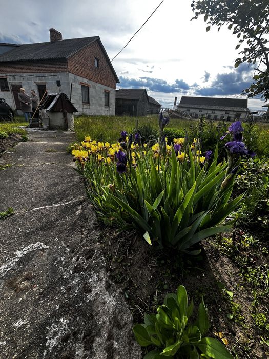 Siedlisko na sprzedaż dom ziemia rolna