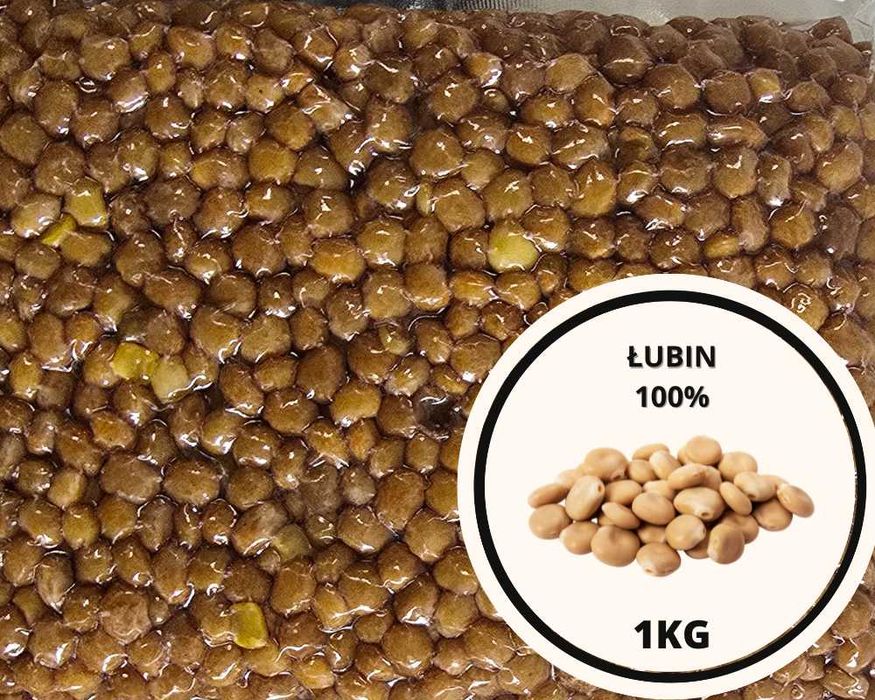 Łubin 10 x 1KG gotowa/gotowana pakowana próżniowo Zanęta wędkarska SazanBaits