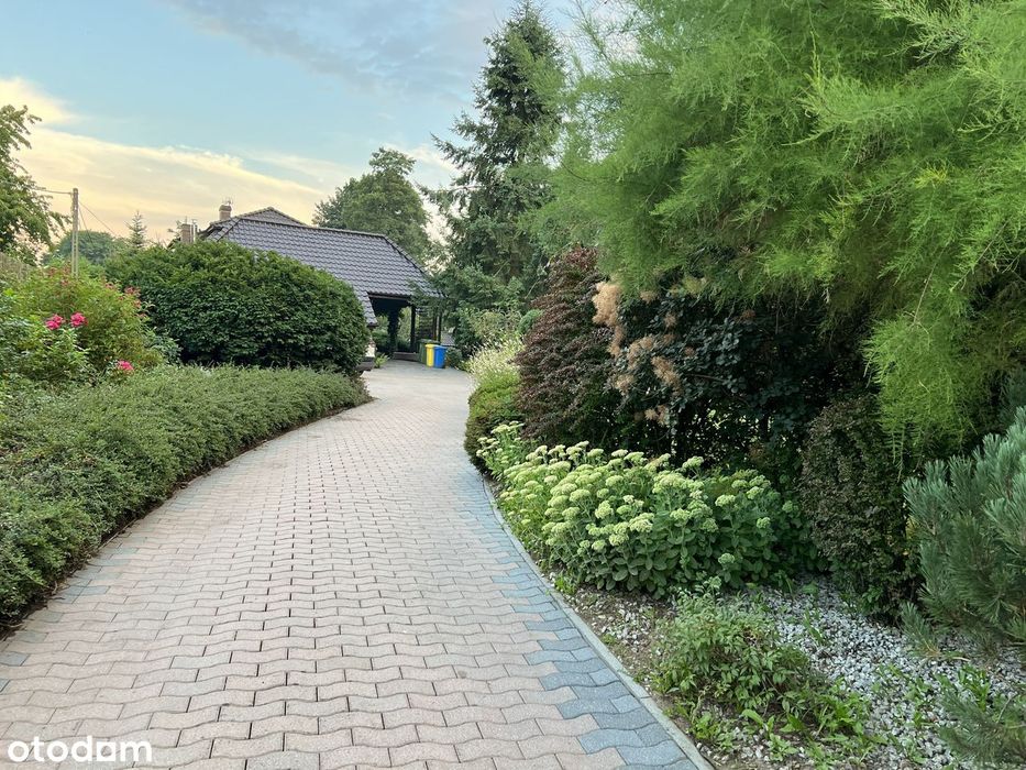 Siedlisko pod Krakowem | Las, strumień, studio | 2950 m²