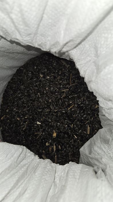 Słonecznik czarny 20 kg dla ptaków